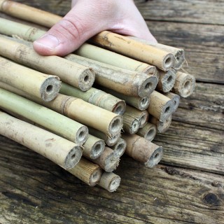 Bambusstäbe 105 cm-15-17 mm