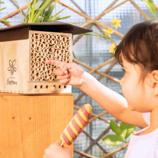 BeeHome Observer unter Gartenbedarf>Vogel- und Ntzlingshuser