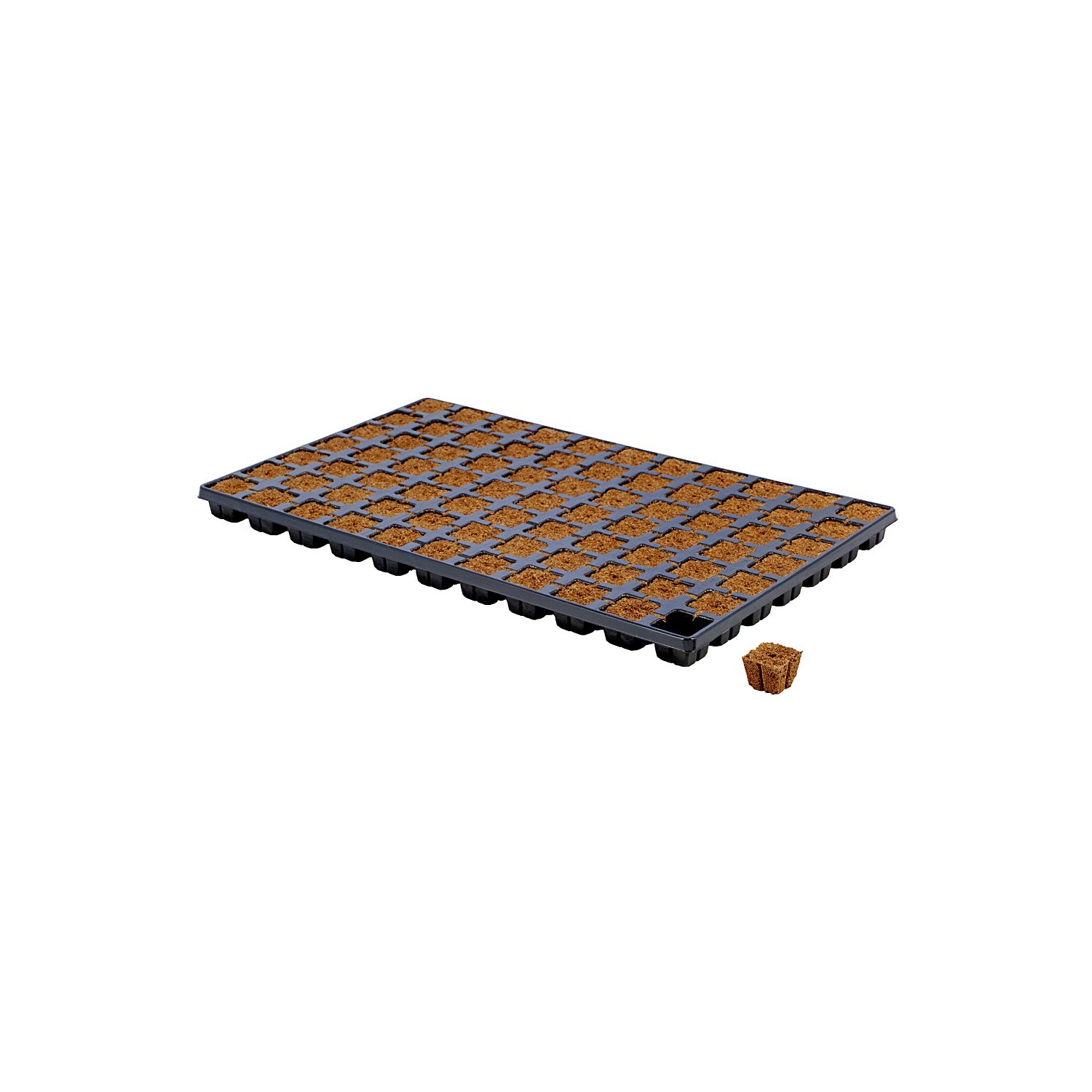 Eazy Plug Tray 77x 3-5cm