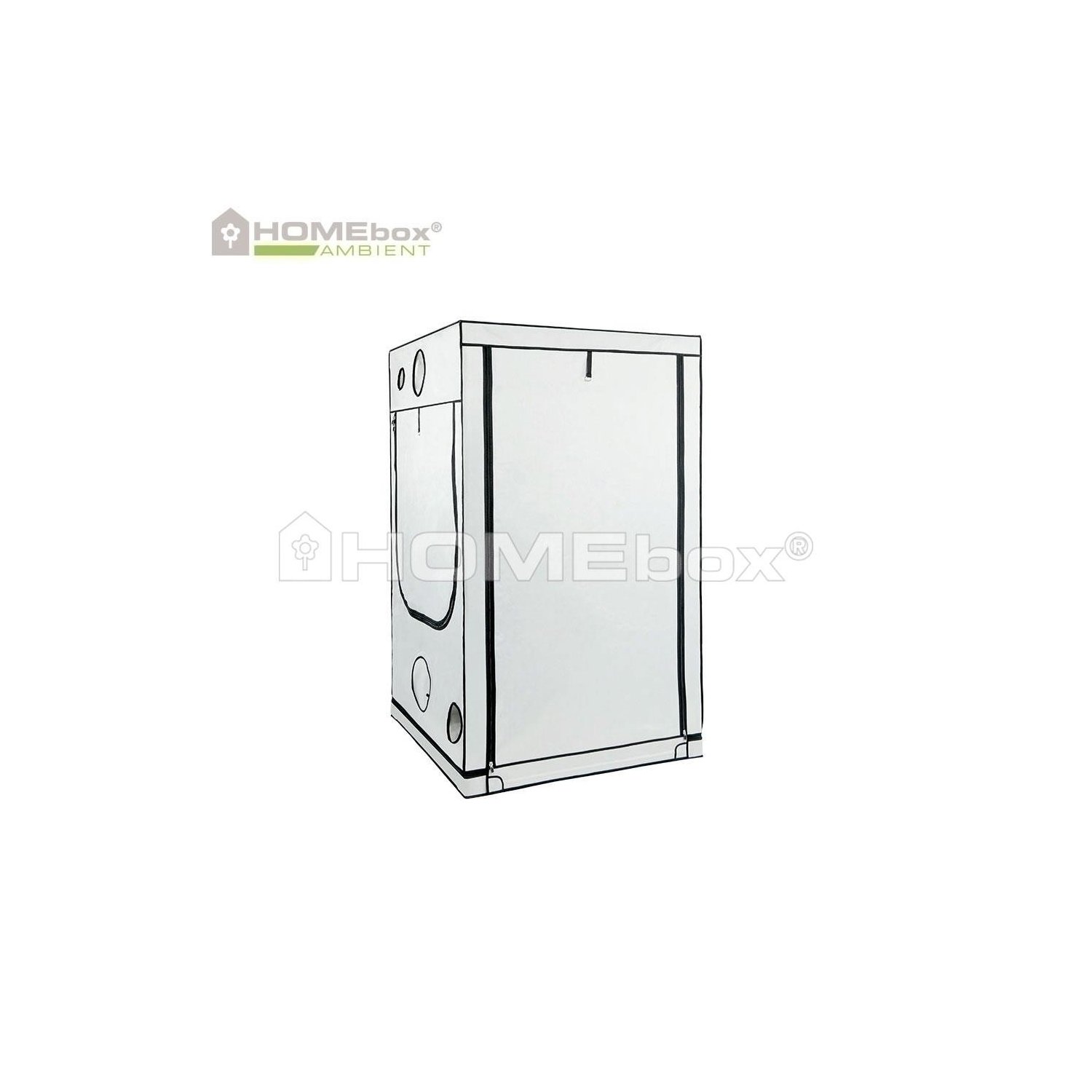 Homebox Ambient Q120