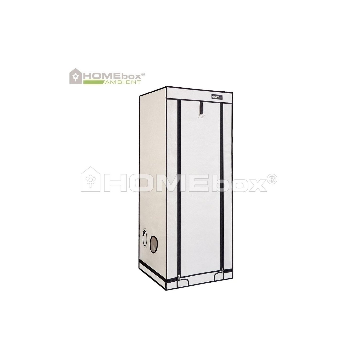 Homebox Ambient Q60+