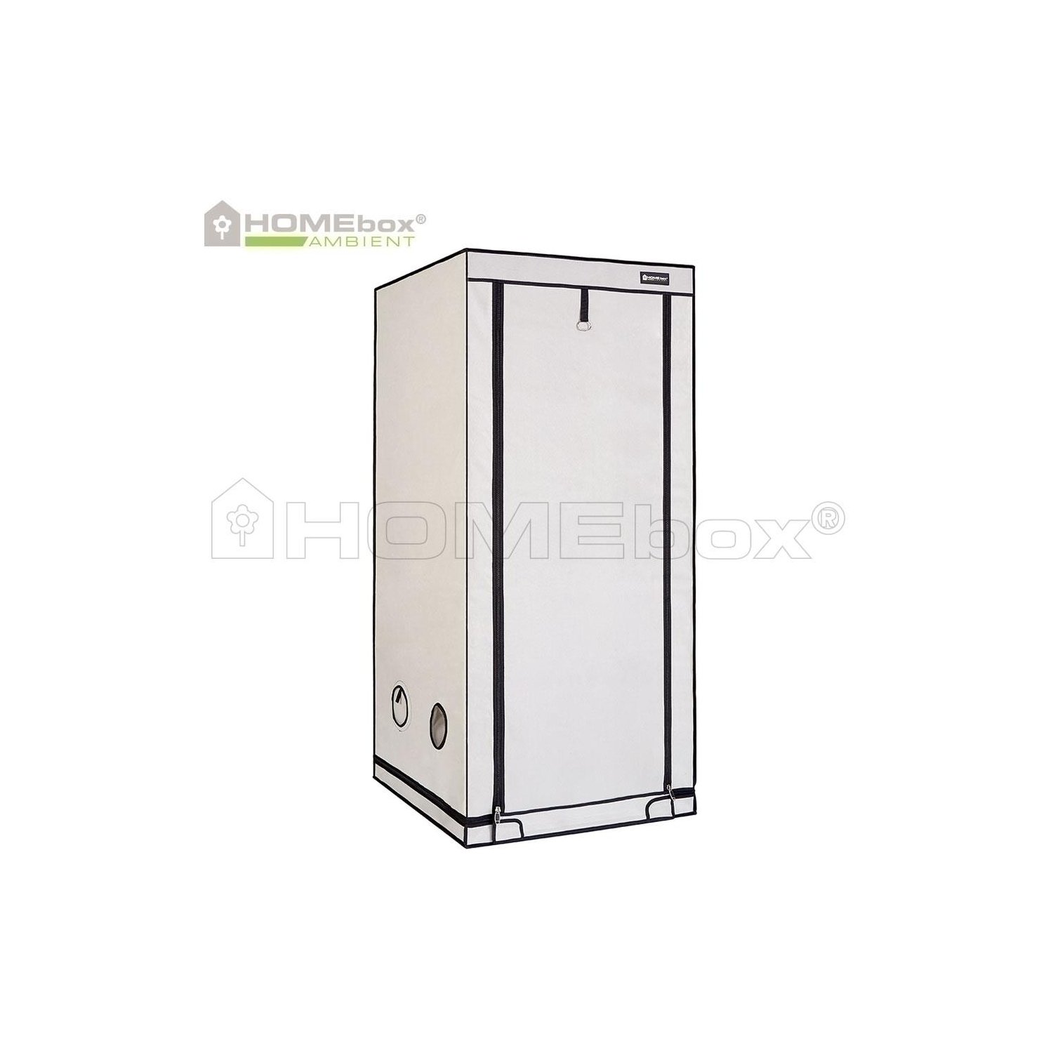 Homebox Ambient Q80+