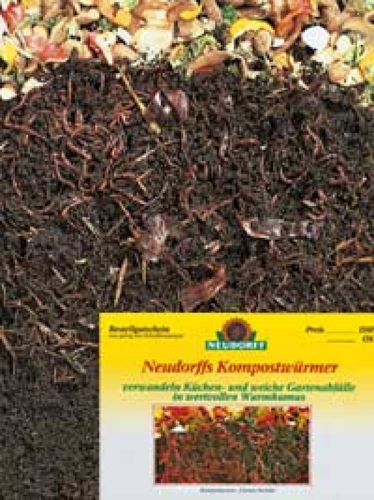 Kompost-Würmer Gutschein Kompost-Würmer Gutschein