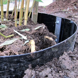 Rhizomsperre 70 cm hoch